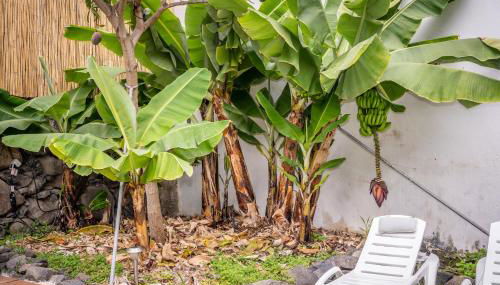 Casa Buganvilla - Foto 5, Garden, Garden view