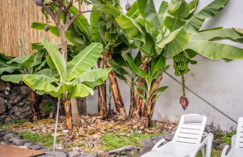 Casa Buganvilla - Foto 5