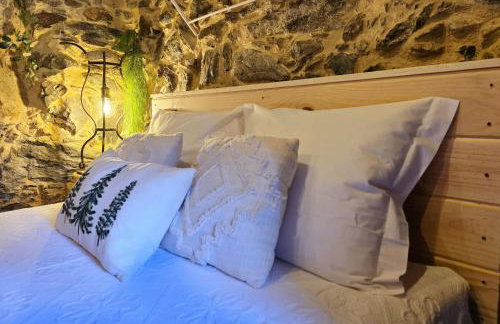 Cardenha das Formiguinhas - Foto 12