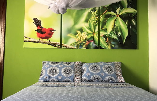 Fazenda Eco Jardim - Foto 8