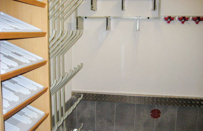 Alpenflora - Foto 18