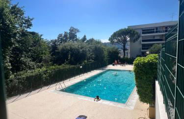 Papillon de cimiez - Foto 15