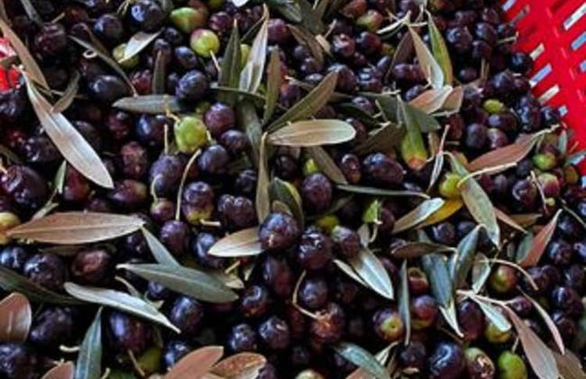 "la Casa Delle Bimbe" - Foto 20