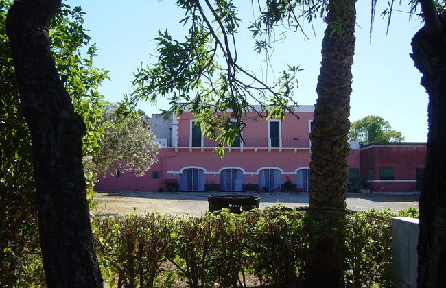 Tenuta Argiano - Foto 1