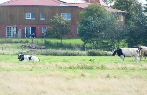 Schäferhof Dircks Fewo 4 - Foto 10