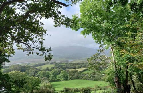 Tan y coed's Rosemary Cabin - Photo 27