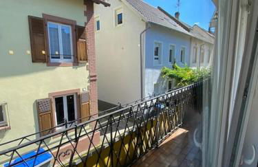 Grand appartement sur Schiltigheim à proximité du centre de Strasbourg - Foto 3