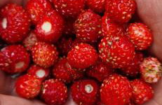 Derkaczowa Kotlina - Foto 69