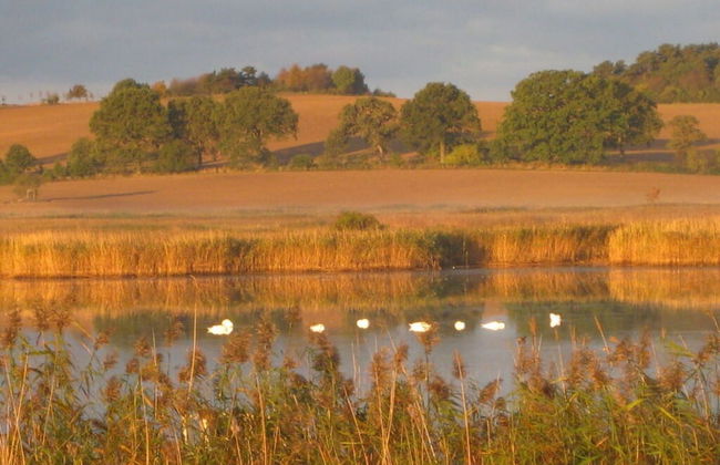 Schittering van de Zee - Foto 19