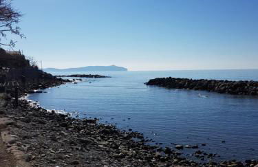 Petra Marina Home - Foto 52