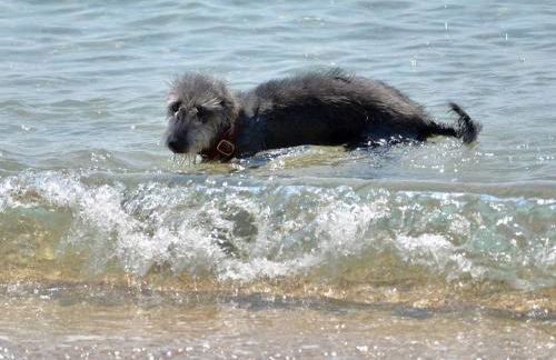 Church View, Helston Old Town - Foto 9