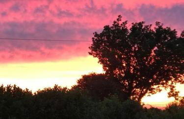 Little Banks Cabin - Foto 34