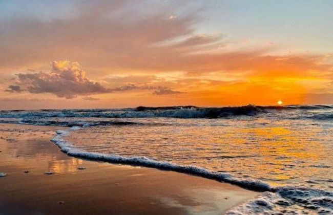 Qudi's Tiny House - Photo 24