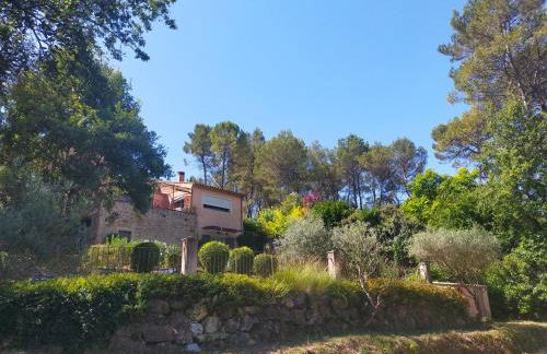 Le Figuier appart 2-3 pers en plein vignoble avec piscine privée à 30mn des gorgesdu Verdon et des plages - Foto 25