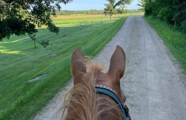 Yahweh Horse Retreat - Photo 4