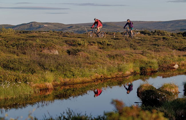 Parkstigens Lägenheter - Foto 28