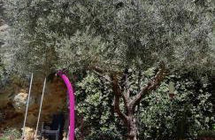 Gîte cévenol avec SPA et Piscine privatifs - Foto 20