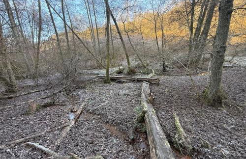 Gästehaus Lydia - Klüsserather Bruderschaft - Foto 23