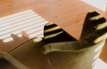 Allgäu-Chalets-Niso - Foto 9