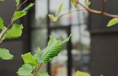 The Silos by Stamford Holiday Cottages - Foto 23