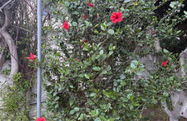 Filippos Agean Nest - Foto 12