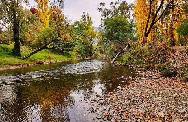 Northbank House - Photo 42