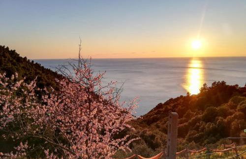 La notte sull'isola - Montaretto - tra il cielo e il mare - Foto 50
