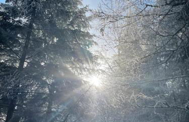 Le Relais du Piémont Ottrott - Mont Sainte-Odile- Champs du feu - Photo 32