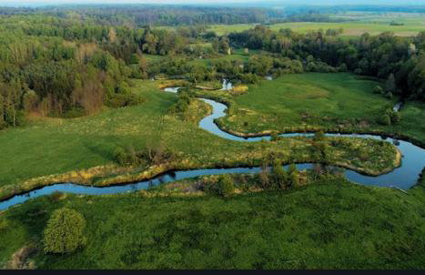 Beniaskie! Lake Lodge in West Masuria - Foto 15