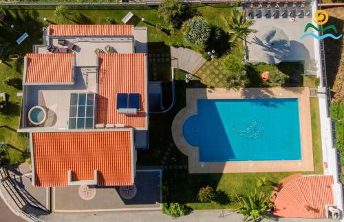 OurMadeira - BelAir - Foto 27