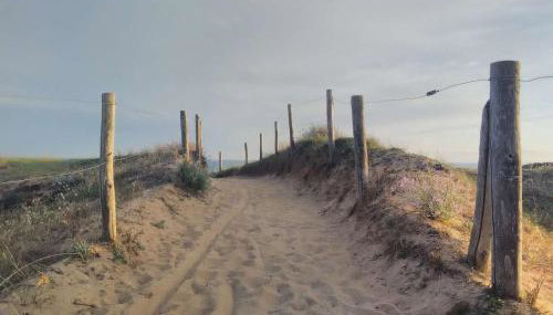 Maison 4 pièces proche plage avec jardin, animaux admis, parking privé - FR-1-479-208 - Foto 4