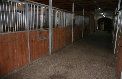 Stajnia Lipowo 45 - Foto 57