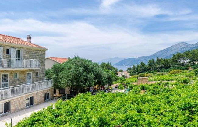 Apartments Villa Ana - Dingac - Photo 60