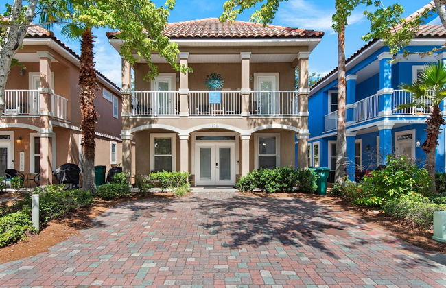 Shell Yeah! - Photo 65