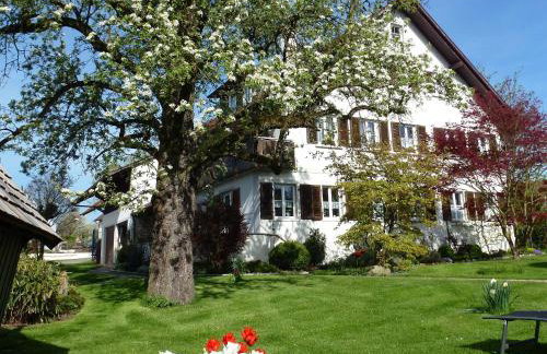 Apfelhof Maurer - Foto 8