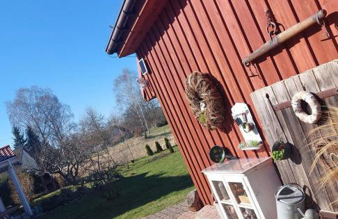 Ferienhaus Storchenwiese, Wald, Strand, Natur - Foto 11