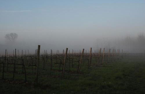 Agriturismo Le Crede 1930 - Foto 44