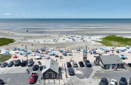 Pondfront 1 Mile to Nauset Beach - Photo 40