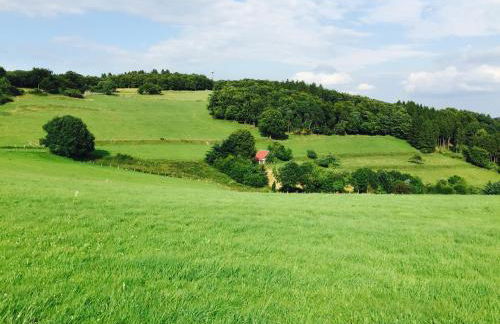 Waldläufer Brilon - Foto 44