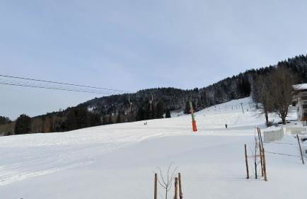 Ferienwohnung Allgäuerle 1604 Ski in Ski out an der Skipiste mit Hallenbad Sauna - Photo 19