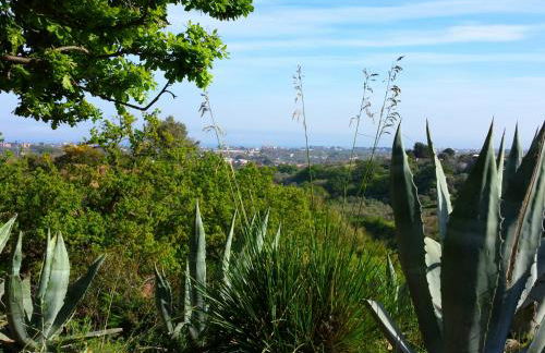 Casa Vacanza Casarcobaleno - Foto 23