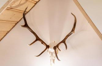 Podhalańska Ostoja Apartament - Foto 9