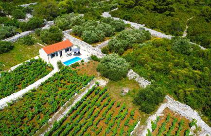 Stone house in vineyard - Photo 6