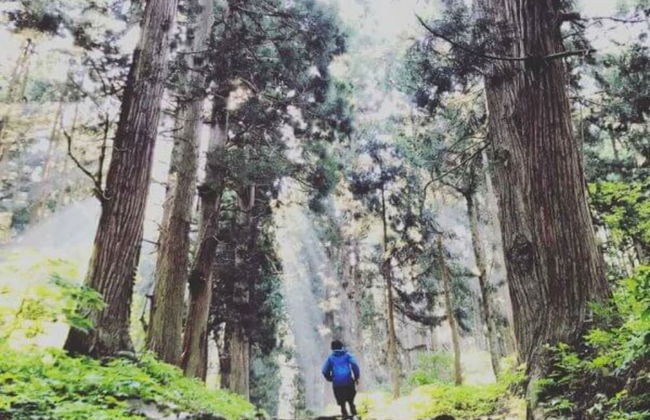 Nozawa Central Apartments - Photo 27