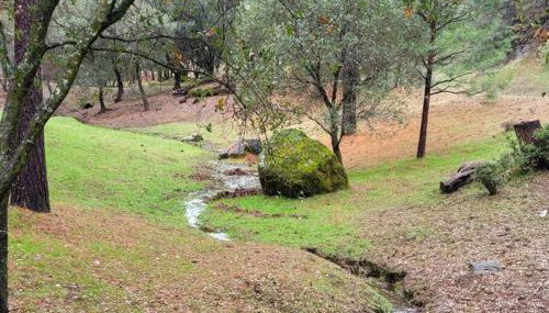 Home in Groveland near Yosemite NP - Foto 5