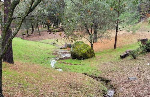 Home in Groveland near Yosemite NP - Foto 5