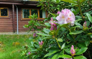 Our Log House in the woods - Photo 58