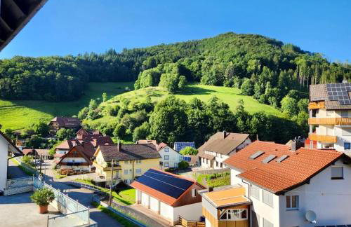 Apartment Sonnenglück im Schwarzwald with Panoramaview, Terrace, 3 Bedrooms - Foto 22