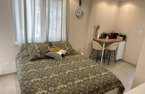 Charmant Studio avec terrasse et parking privé - Foto 1