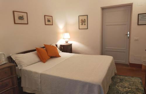 Tenuta Mocajo - Foto 46